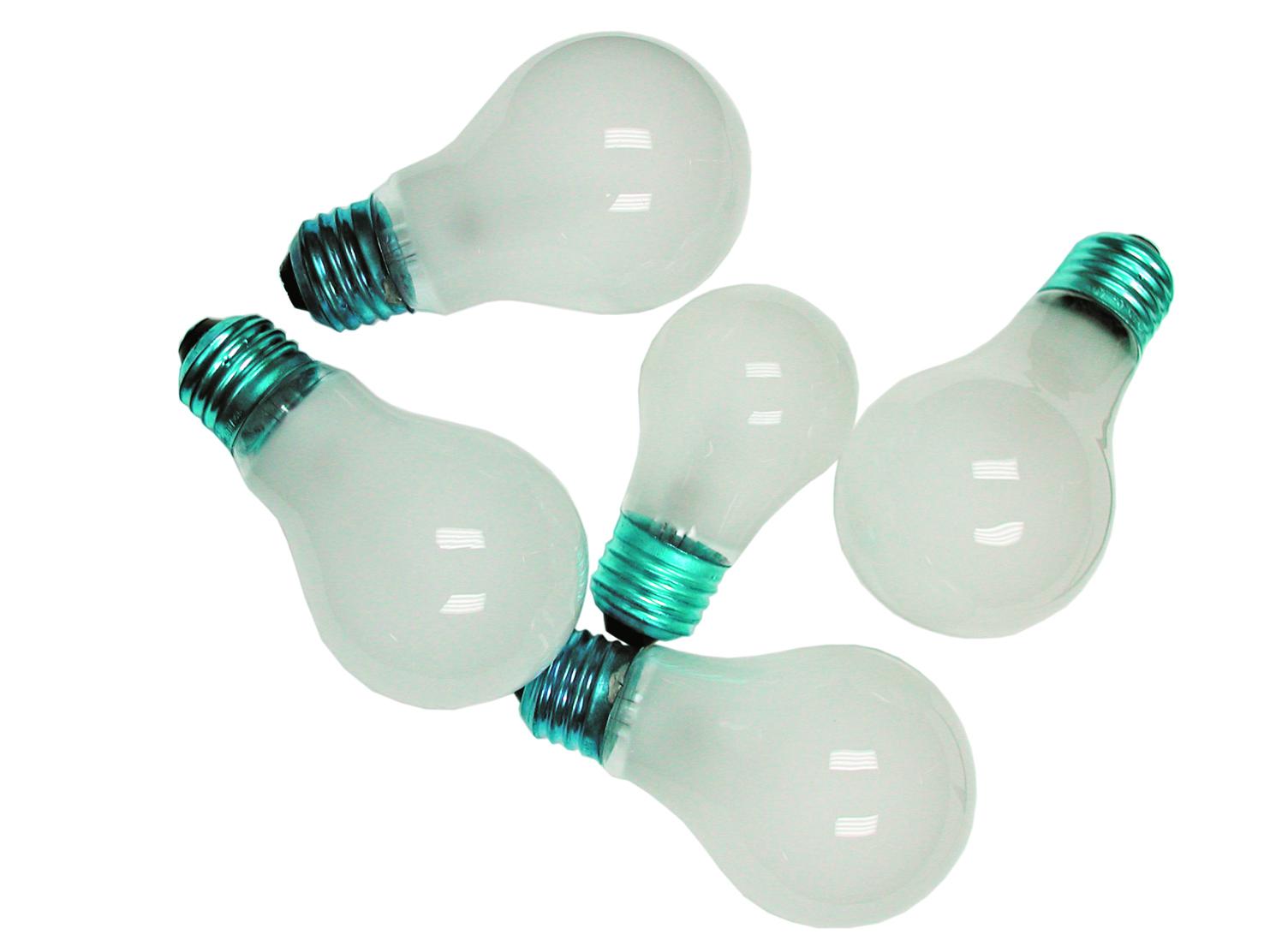 Camco 54889 a-19 15w or 12v oven 6 per box