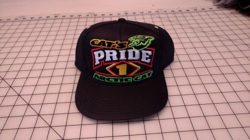 Arctic cat  vintage  collector hat cats pride 1999