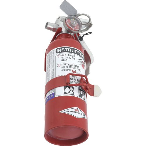 Amerex fire extinguisher; purple k dry chemical; 1-pound capacity; 376t red