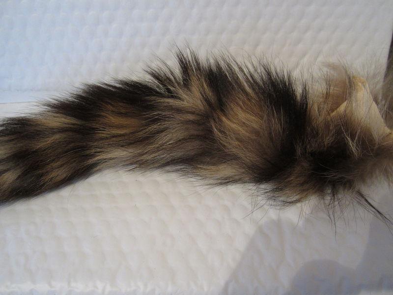 Vintage racoon tail antenna topper a classic mirror hanger or deck lid joke item