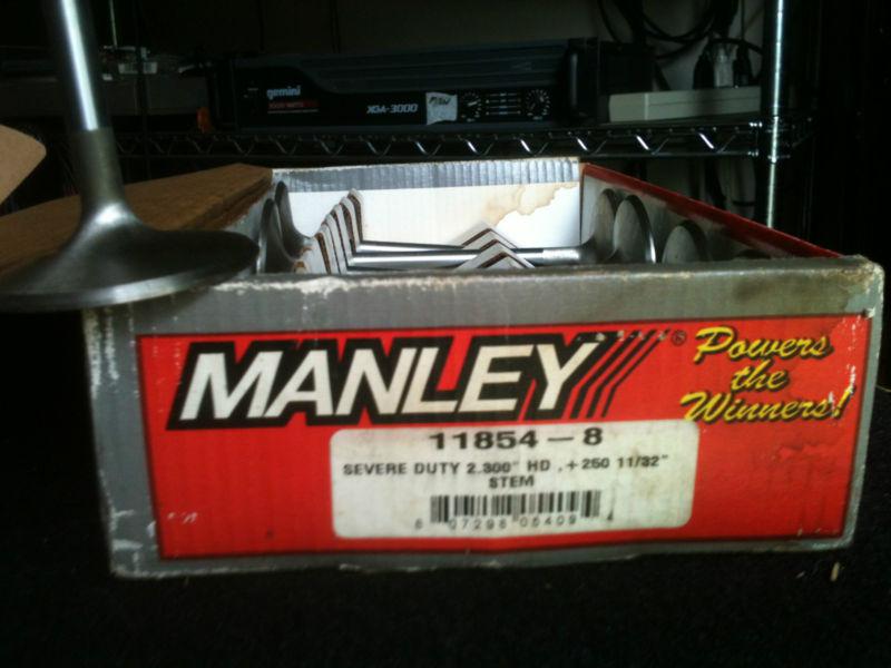 Purchase MANLEY bbc intake valves ss 118548 in Douglasville,