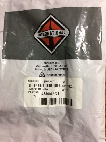 Navistar international  new in plastic 2 hood springs truck tractor 489862c1