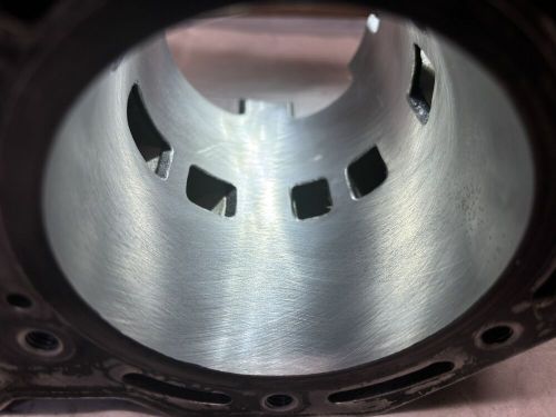 Tigershark 770 Cylinder Piston Gasket Monte Carlo Daytona Rebuild Kit #330, US $683.00, image 2