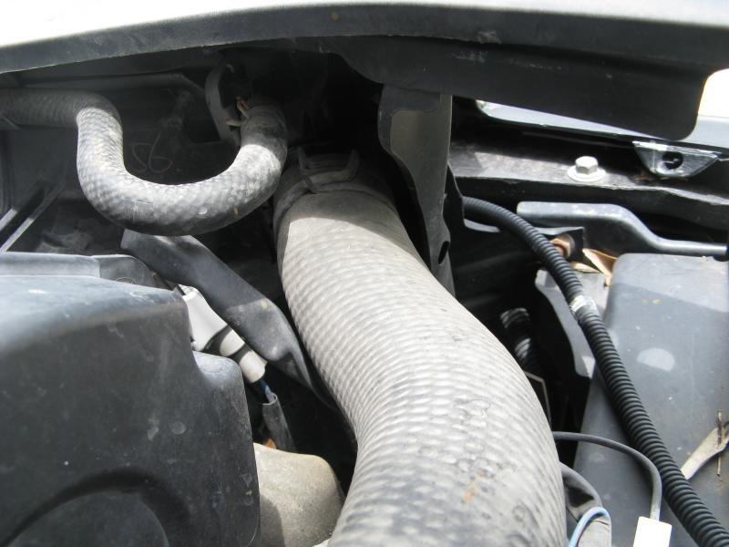 Purchase 95 96 97 98 99 00 01 02 MAZDA MILLENIA RADIATOR 19163 in San