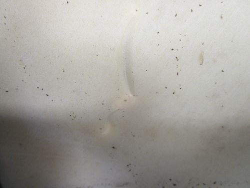 0285752 OMC Evinrude E-Tec 135 150 175 200 HP Cowl Top Motor Cover, US $400.00, image 4