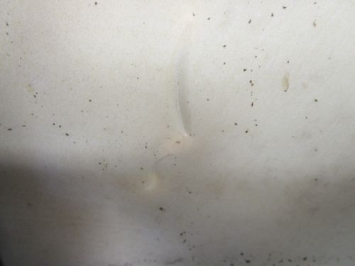 0285752 OMC Evinrude E-Tec 135 150 175 200 HP Cowl Top Motor Cover, US $400.00, image 15