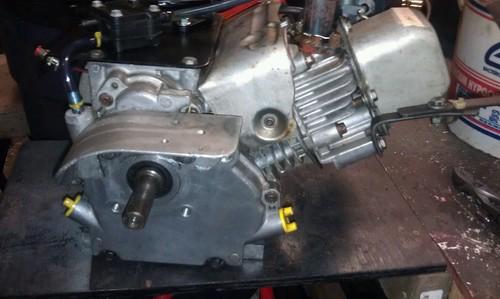 Briggs stratton animal, US $500.00, image 2