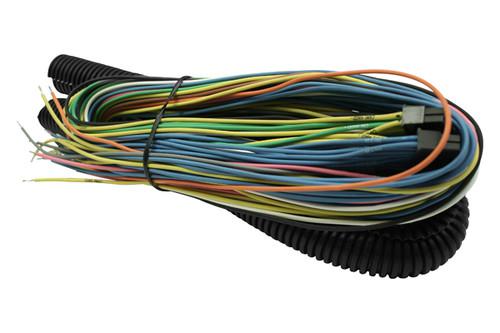 Aem 35-2910-24 - fuel, igntion controller flying lead harness