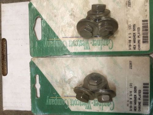 Chrome body bolts 3/8-18 3/4" long