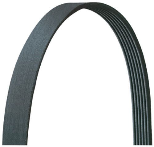 Dayco 5060360dr serpentine belt