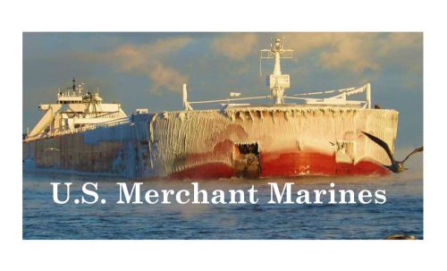 U.s. merchant marines aluminum specialized license plate,