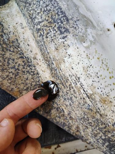 JOHNSON EVINRUDE LOWER UNIT GEAR CASE (55HP), US $250.00, image 4