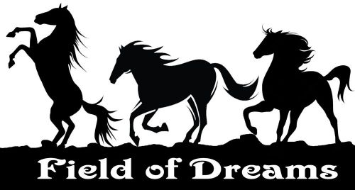 Field of dreams custom graphic decal western english horse running playing