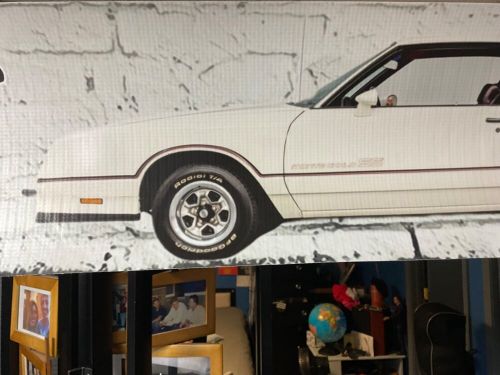 BIG All Weather 48x8aprx 1985 MONTE CARLO SS vinyl POSTER muscle car mini banner, US $22.99, image 2