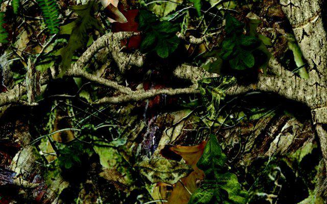 Cc-s4860 camoclad cast vinyl camo bulk 4' x 5' sheet - mothwing spring mimicry