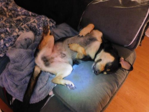 OMC Johnson Evinrude WATER PUMP KIT GENUINE OE 0396644 396644 BRAND NEW FAST SHP, US $23.49, image 2