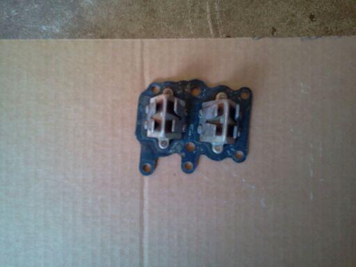 Evinrude 9.5 hp 1968 intake reeds with bolts  