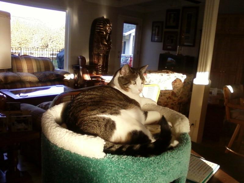 52 53 54 1952 1953 1954 FORD MERCURY WINDOW REGULATOR LEFT REAR QUARTER NOS!, US $100.00, image 6