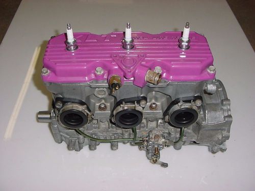 Polaris xlt xcr 600 special engine motor 1995 - 1998 short block