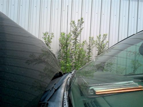 Trailbext 2004 antenna 427055