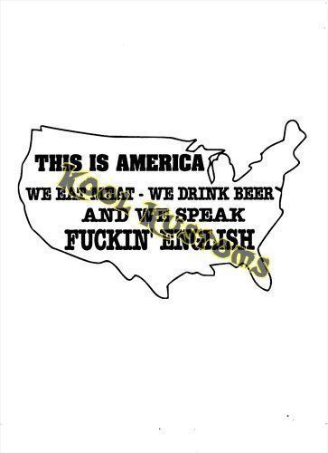 Vinyl decal sticker this is america english...funny...car truck window