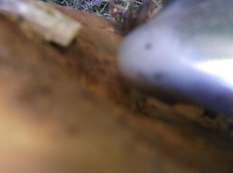 1970 BUICK RIVIERA RIGHT OUTSIDE REAR QUARTER PANEL SECTION PARTING OUT , US $100.00, image 4