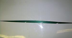 2 new boat rv car graphic decal green