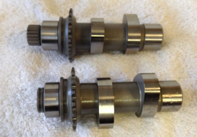 Andrews 54h chain drive camshafts 216354