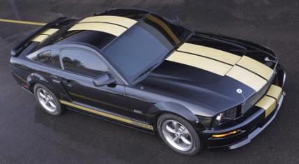 Hertz gt-h  dual 9" gold matching stripe kit, fits 2005-2009 ford mustangs