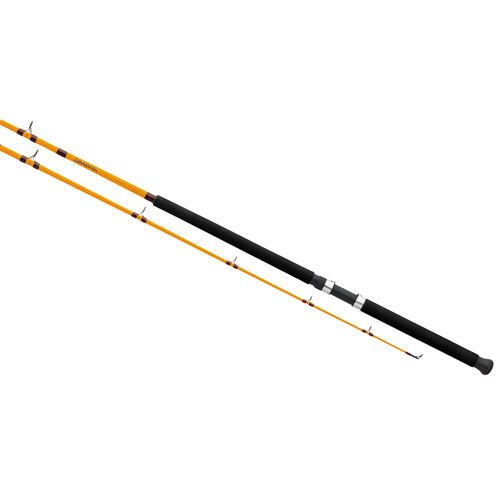 Ft conventional boat rod