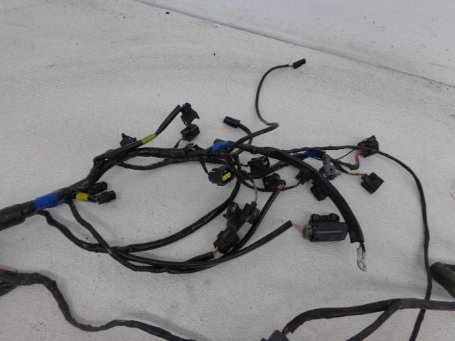 2005 Triumph Sprint 1050 wiring harness wires, US $45.00, image 2