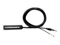 Hidden amplified antenna am/fm/wb for harley flht flhx 