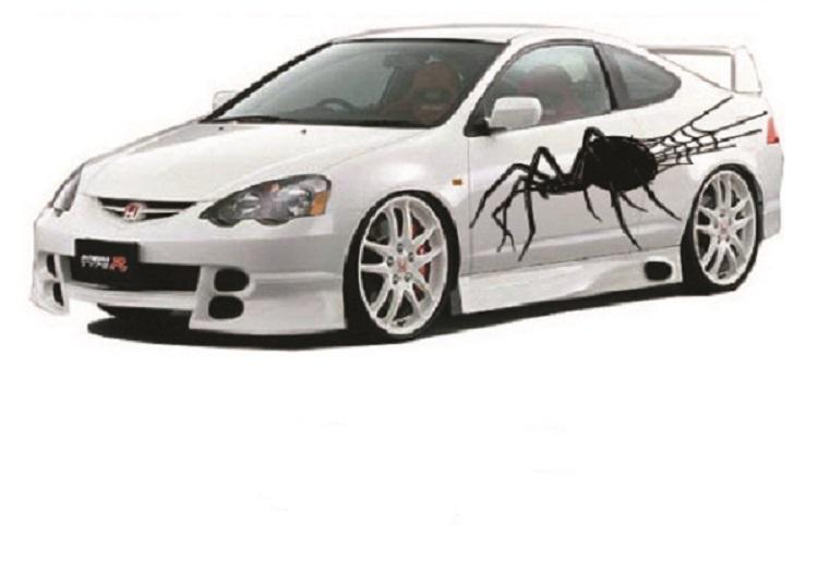 Decal fast 1/74 spider insect web auto car suv truck semi vinyl cool awesome new