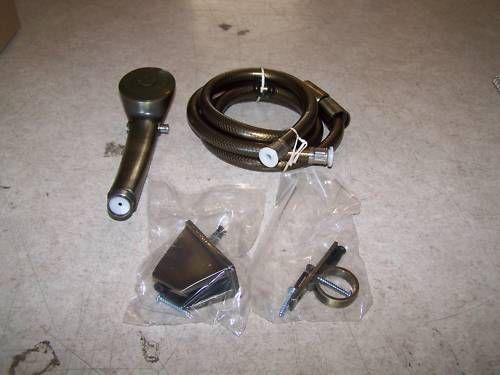 Rv antique brass shower head/hose ( new )