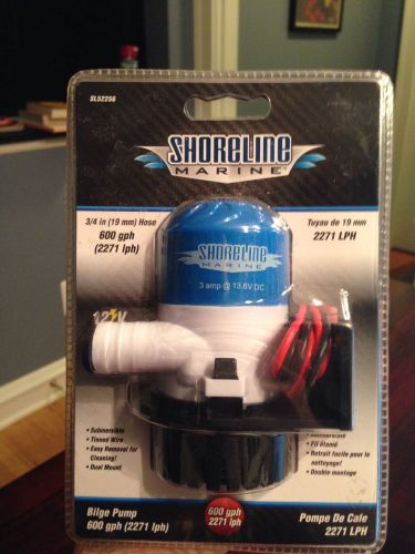 Shoreline marine bilge pump