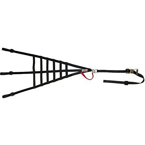 Sfi side net with rachet