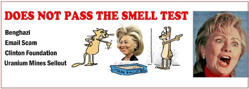 Hillaryclintondoes not pass smell test decal bumper sticker uranium sellout.96-*