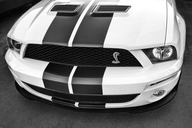 Ford shelby mustang gt500 hd poster muscle car b&w print multiple sizes
