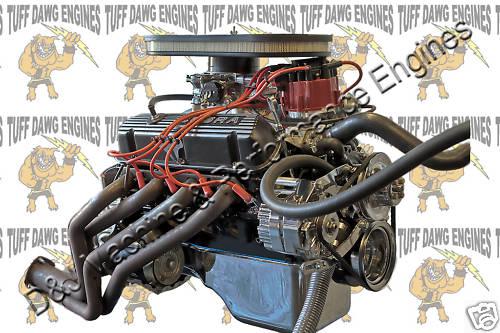 Ford 302/328hp cobra turnkey engine by tuff dawg engines