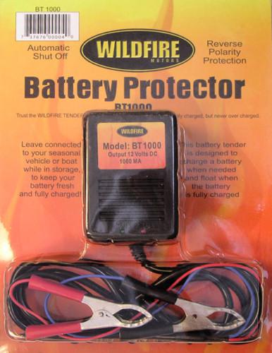2 winter maintenance battery chargers free shipping