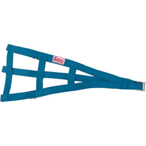 Safety Racing Blue Sprint Car Open Wheel Cage Net-No Plastic, US $24.99, image 10