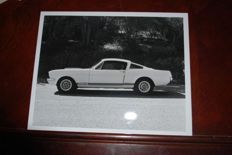 Ford shelby mustang archive photograph