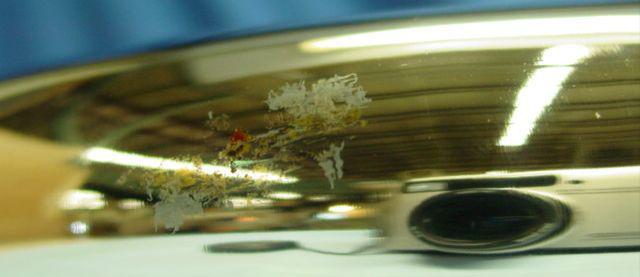 Thunderheader 2 into 1 High Performance Exhaust System, US $469.99, image 6