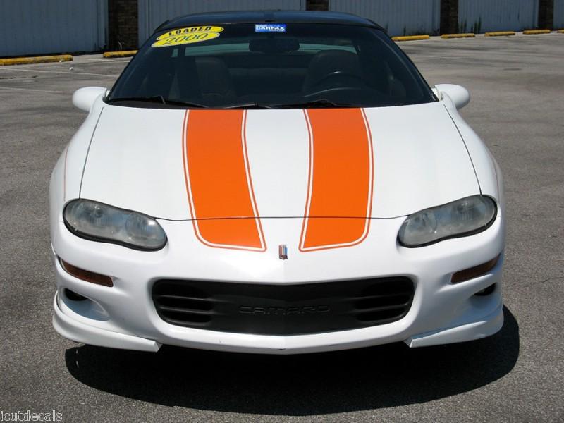1999-2003 (99-03) camaro hood pinstriped pinstripes racing stripe stripes