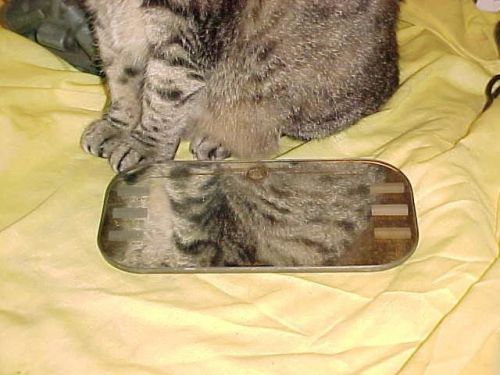 Vintage 50s oldsmobile olds 88 98 fiesta sun visor mirror