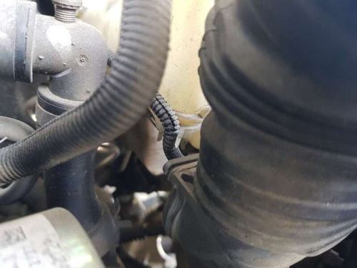 Brake Master Cylinder for Renault Megane IV Berlina 5P 1.0 TCE 115 2015 4760579-, US $, image 8