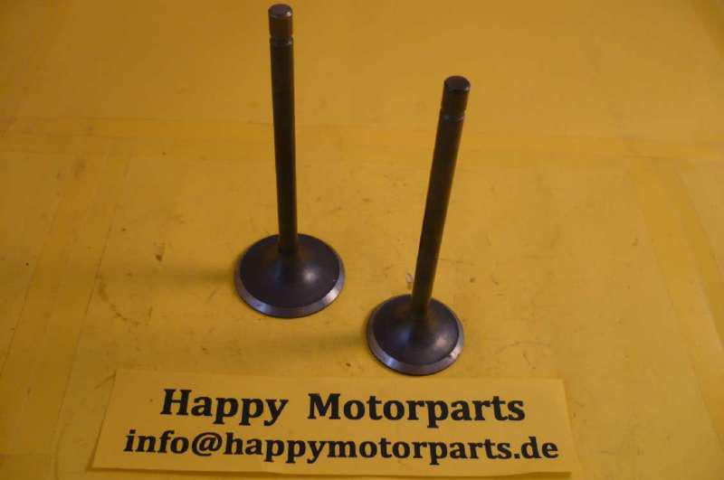 Valve set for pit bike / dirt bike / atv / quad v 250 ccm