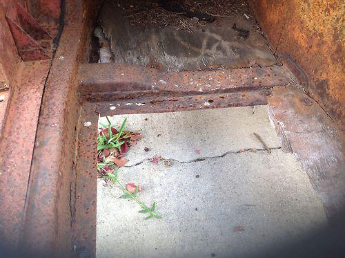 1500 MGA Barn Find, US $9.99, image 8