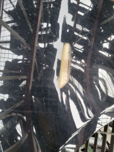 08 09 10 BMW 528I E60 FL FENDER ASSM BLUE, US $400.00, image 10