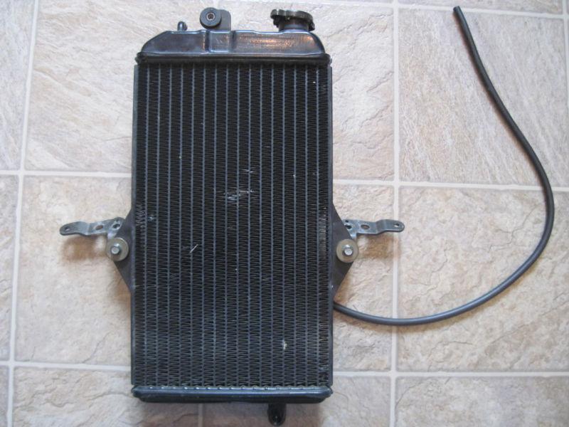 Sell 2006 Yamaha Banshee Radiator in Central Point, Oregon, US, for US ...